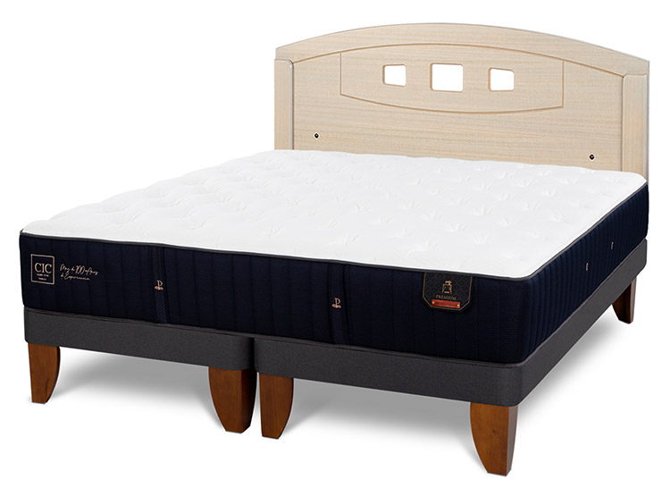 JUEGO DE DORMITORIO CIC CAMA EUROPEA PREMIUM BD 2 PLAZAS + RESPALDO GALES ALPINO - 2