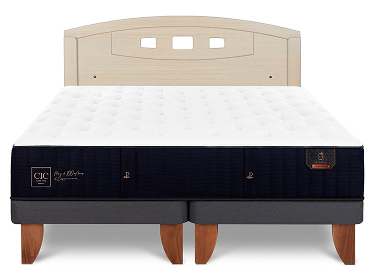 JUEGO DE DORMITORIO CIC CAMA EUROPEA PREMIUM BD 2 PLAZAS + RESPALDO GALES ALPINO - 1