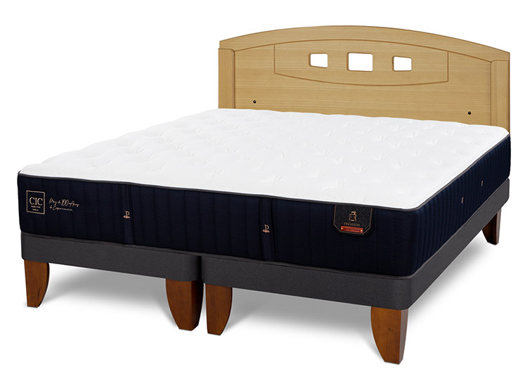 JUEGO DE DORMITORIO CIC CAMA EUROPEA PREMIUM BD 2 PLAZAS + RESPALDO GALES MOSTAZA - 2