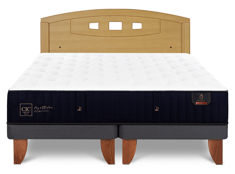JUEGO DE DORMITORIO CIC CAMA EUROPEA PREMIUM BD 2 PLAZAS + RESPALDO GALES MOSTAZA - 1
