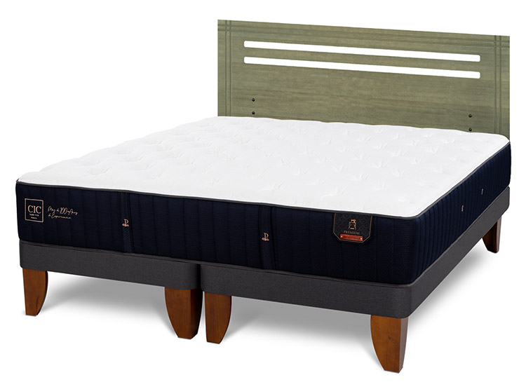 JUEGO DE DORMITORIO CIC CAMA EUROPEA PREMIUM BD 2 PLAZAS + RESPALDO MUNICH OLIVO - 2