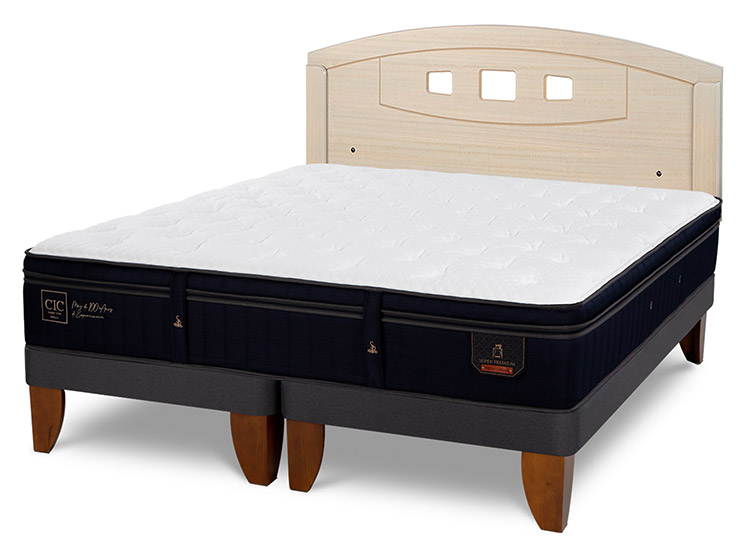 JUEGO DE DORMITORIO CIC CAMA EUROPEA SUPER PREMIUM BD 2 PLAZAS + RESPALDO GALES ALPINO - 2