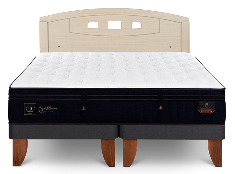 JUEGO DE DORMITORIO CIC CAMA EUROPEA SUPER PREMIUM BD 2 PLAZAS + RESPALDO GALES ALPINO - 1