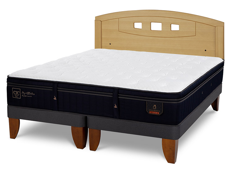 JUEGO DE DORMITORIO CIC CAMA EUROPEA SUPER PREMIUM BD 2 PLAZAS + RESPALDO GALES MOSTAZA - 2