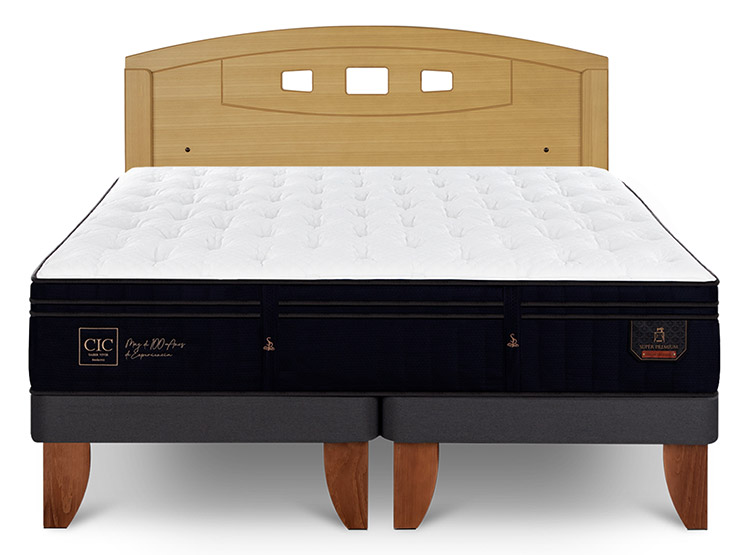 JUEGO DE DORMITORIO CIC CAMA EUROPEA SUPER PREMIUM BD 2 PLAZAS + RESPALDO GALES MOSTAZA - 1