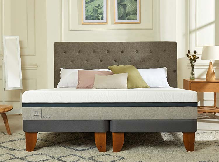 JUEGO DE DORMITORIO CIC CAMA EUROPEA BALANCE BD 2 PLAZAS + RESPALDO DUBLIN ALPI - 8