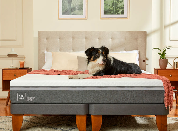 JUEGO DE DORMITORIO CIC CAMA EUROPEA ORTOPEDIC ADVANCE BD 2 PLAZAS + RESPALDO DUBLIN ALPINO - 8