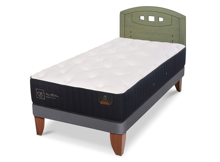JUEGO DE DORMITORIO CIC CAMA EUROPEA PREMIUM 1.5 PLAZAS + RESPALDO GALES OLIVO - 2