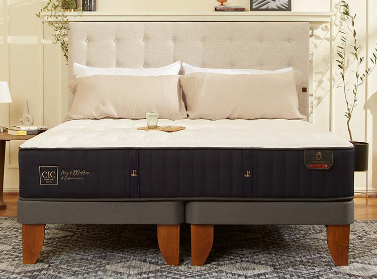 JUEGO DE DORMITORIO CIC CAMA EUROPEA PREMIUM BD 2 PLAZAS + RESPALDO DUBLIN ALPINO - 10