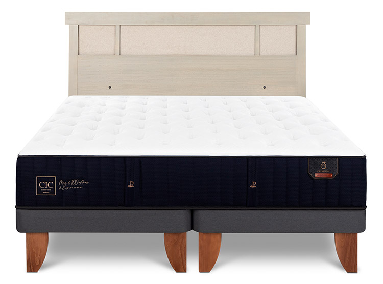 JUEGO DE DORMITORIO CIC CAMA EUROPEA PREMIUM BD 2 PLAZAS + RESPALDO DUBLIN ALPINO - 1