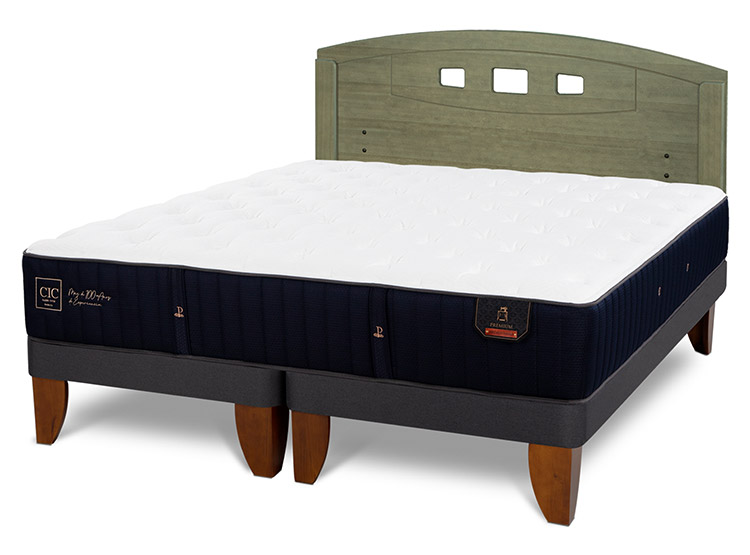 JUEGO DE DORMITORIO CIC CAMA EUROPEA PREMIUM BD 2 PLAZAS + RESPALDO GALES OLIVO - 2