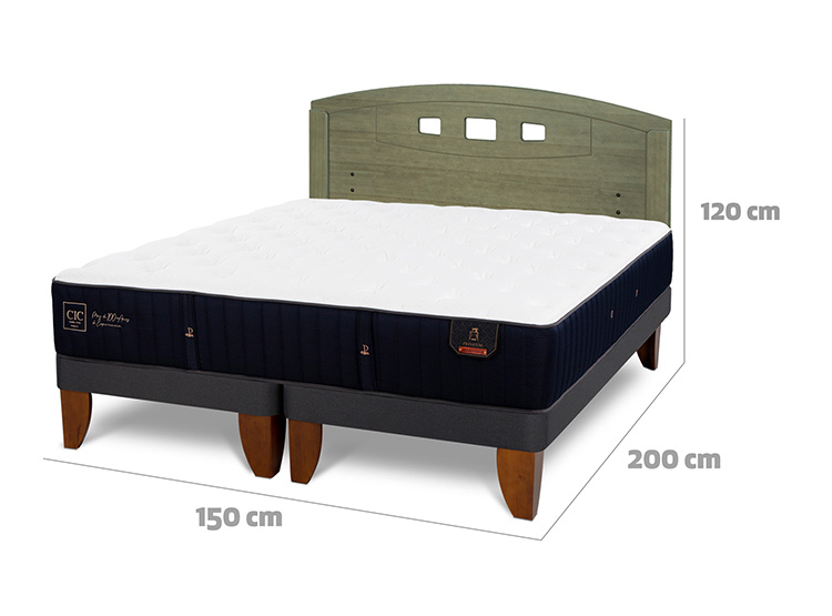 JUEGO DE DORMITORIO CIC CAMA EUROPEA PREMIUM BD 2 PLAZAS + RESPALDO GALES OLIVO - 3