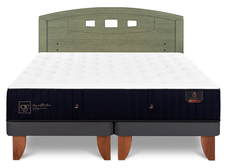 JUEGO DE DORMITORIO CIC CAMA EUROPEA PREMIUM BD 2 PLAZAS + RESPALDO GALES OLIVO - 1