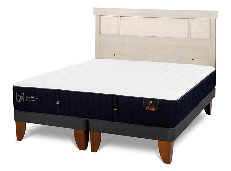 JUEGO DE DORMITORIO CIC CAMA EUROPEA PREMIUM KING + RESPALDO DUBLIN ALPINO - 2