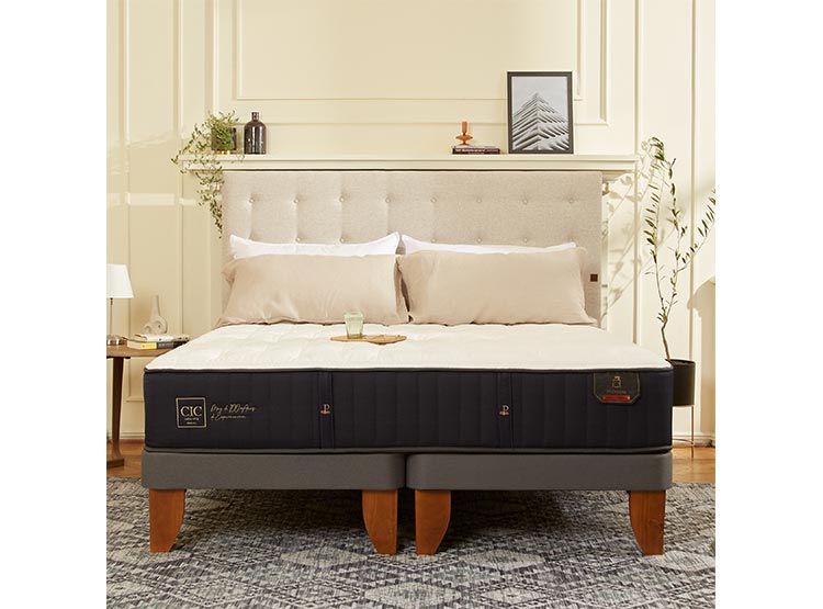 JUEGO DE DORMITORIO CIC CAMA EUROPEA PREMIUM KING + RESPALDO DUBLIN ALPINO - 10