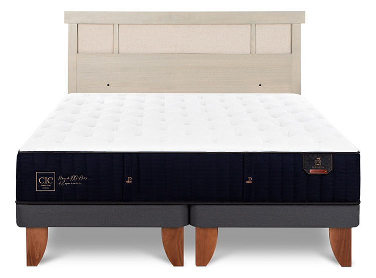 JUEGO DE DORMITORIO CIC CAMA EUROPEA PREMIUM KING + RESPALDO DUBLIN ALPINO - 1