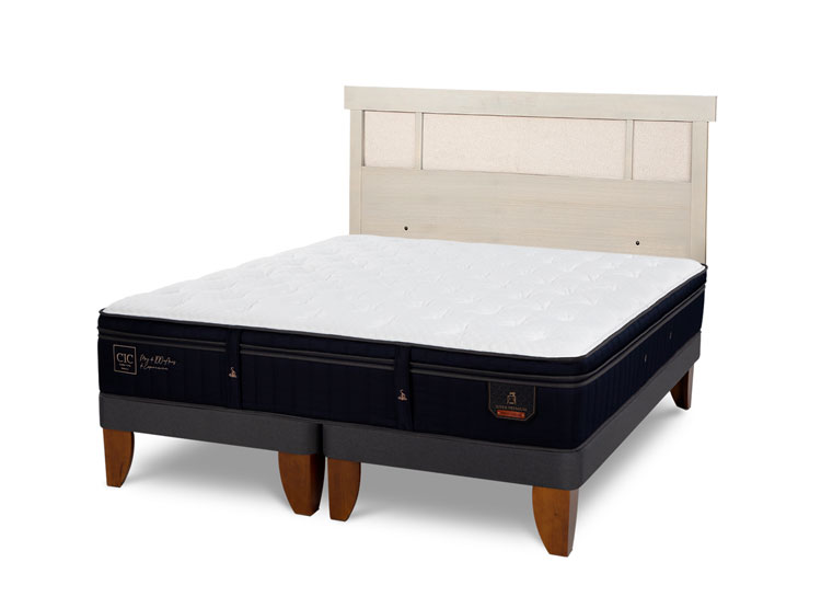 JUEGO DE DORMITORIO CIC CAMA EUROPEA SUPER PREMIUM BD 2 PLAZAS + RESPALDO DUBLIN ALPINO - 2