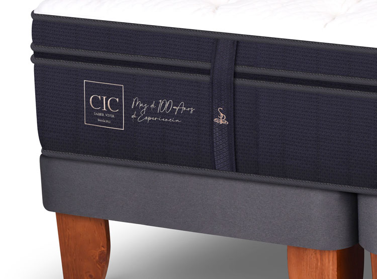 JUEGO DE DORMITORIO CIC CAMA EUROPEA SUPER PREMIUM BD 2 PLAZAS + RESPALDO DUBLIN ALPINO - 3