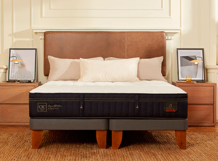 JUEGO DE DORMITORIO CIC CAMA EUROPEA SUPER PREMIUM BD 2 PLAZAS + RESPALDO DUBLIN ALPINO - 10