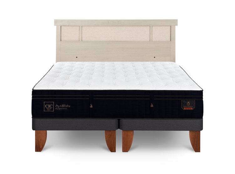 JUEGO DE DORMITORIO CIC CAMA EUROPEA SUPER PREMIUM BD 2 PLAZAS + RESPALDO DUBLIN ALPINO - 1