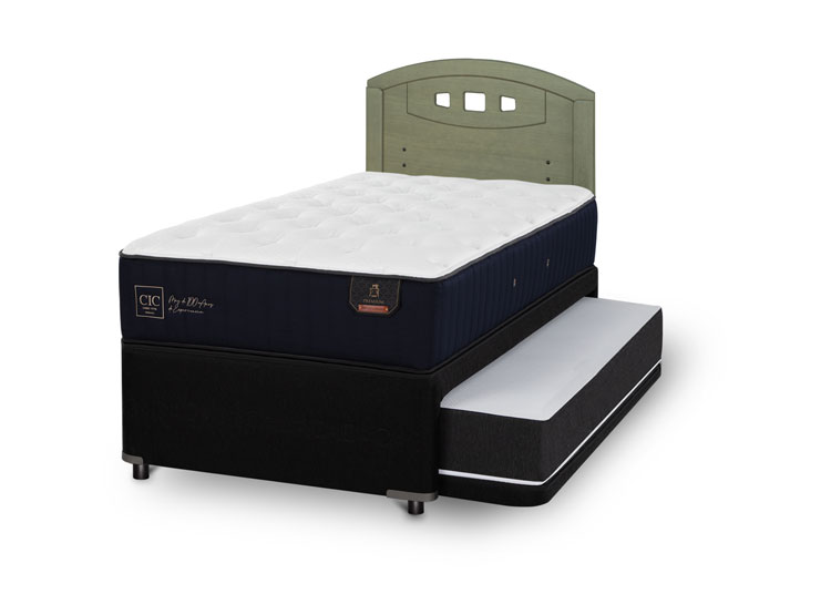 JUEGO DE DORMITORIO CIC CAMA DIVAN PREMIUM 1.5 PLAZAS NEGRO + RESPALDO GALES OLIVO - 2
