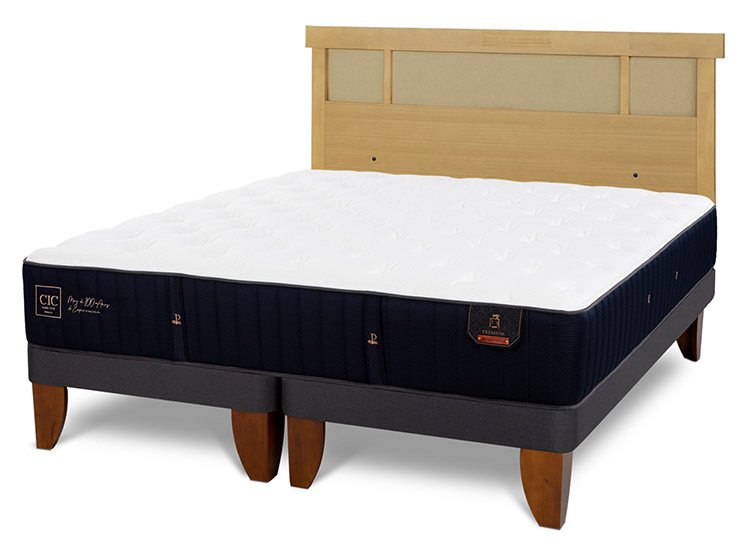 JUEGO DE DORMITORIO CIC CAMA EUROPEA PREMIUM BD 2 PLAZAS + RESPALDO DUBLIN MOSTAZA - 2