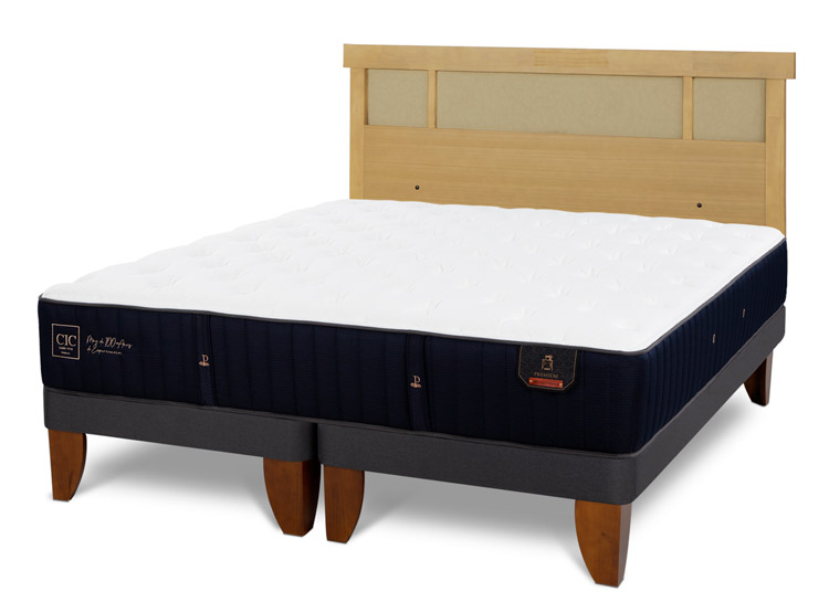 JUEGO DE DORMITORIO CIC CAMA EUROPEA PREMIUM KING + RESPALDO DUBLIN MOSTAZA - 2