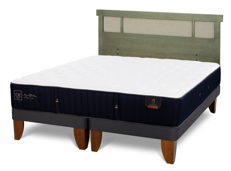 JUEGO DE DORMITORIO CIC CAMA EUROPEA PREMIUM KING + RESPALDO DUBLIN OLIVO - 2