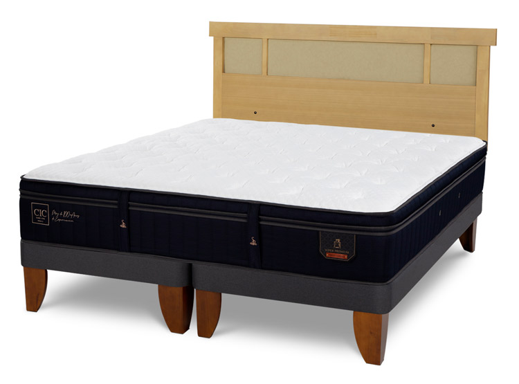 JUEGO DE DORMITORIO CIC CAMA EUROPEA SUPER PREMIUM BD 2 PLAZAS + RESPALDO DUBLIN MOSTAZA - 2
