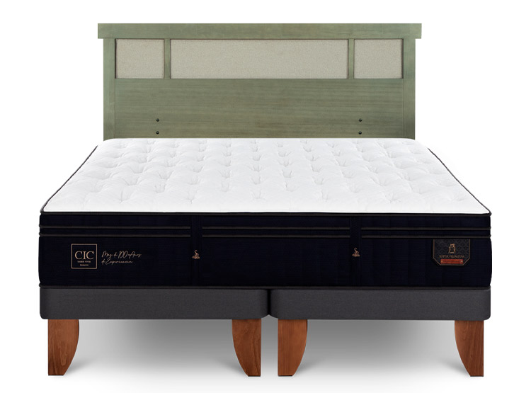 JUEGO DE DORMITORIO CIC CAMA EUROPEA SUPER PREMIUM BD 2 PLAZAS + RESPALDO DUBLIN OLIVO - 1