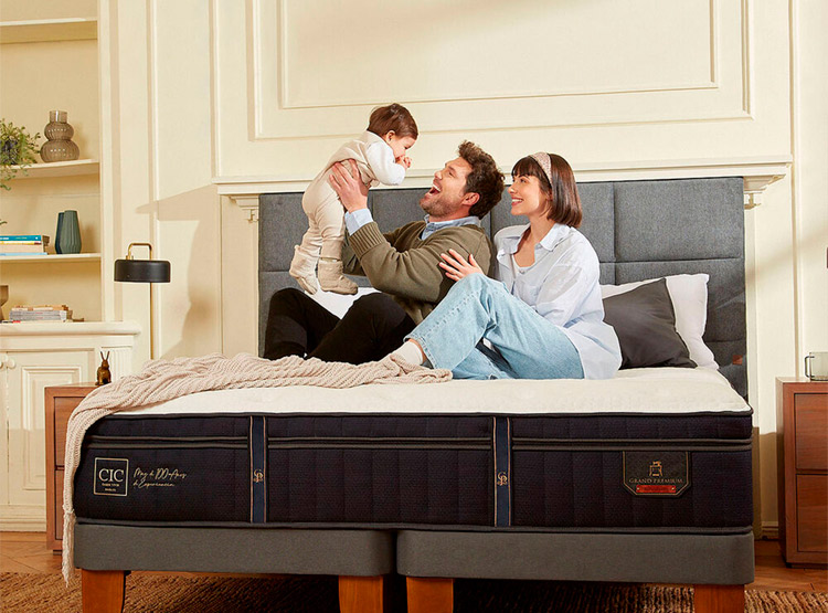 JUEGO DE DORMITORIO CIC CAMA EUROPEA GRAND PREMIUM BD 2 PLAZAS + RESPALDO TORINO ALPINO - 6