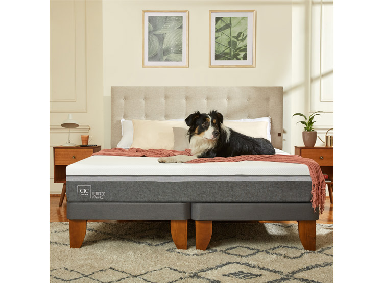 JUEGO DE DORMITORIO CIC CAMA EUROPEA ORTOPEDIC ADVANCE BN 2 PLAZAS + RESPALDO TORINO ALPINO - 8