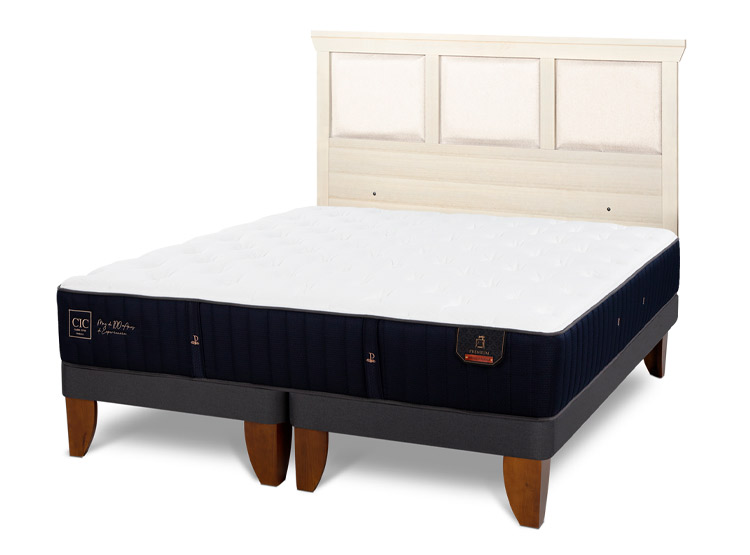JUEGO DE DORMITORIO CIC CAMA EUROPEA PREMIUM BD 2 PLAZAS + RESPALDO TORINO ALPINO - 2
