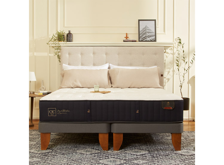 JUEGO DE DORMITORIO CIC CAMA EUROPEA PREMIUM BD 2 PLAZAS + RESPALDO TORINO ALPINO - 11