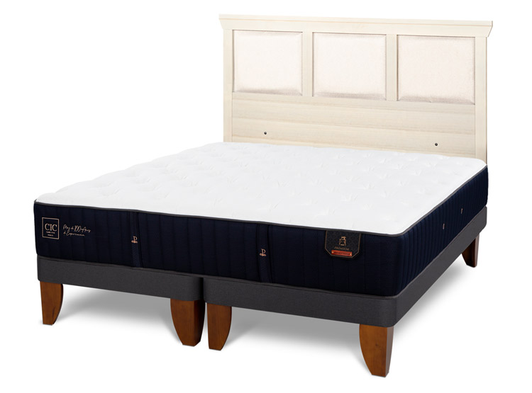 JUEGO DE DORMITORIO CIC CAMA EUROPEA PREMIUM KING + RESPALDO TORINO ALPINO - 2