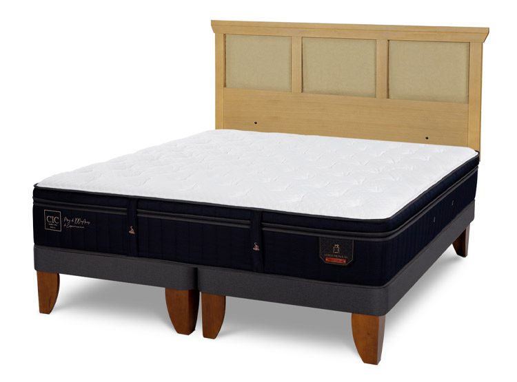 JUEGO DE DORMITORIO CIC CAMA EUROPEA SUPER PREMIUM BD 2 PLAZAS + RESPALDO TORINO MOSTAZA - 2