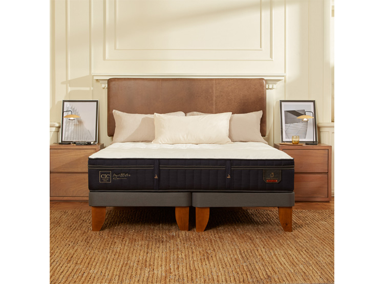 JUEGO DE DORMITORIO CIC CAMA EUROPEA SUPER PREMIUM BD 2 PLAZAS + RESPALDO TORINO ALPINO - 10