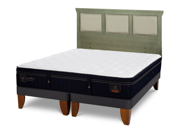 JUEGO DE DORMITORIO CIC CAMA EUROPEA SUPER PREMIUM BD 2 PLAZAS + RESPALDO TORINO OLIVO - 2