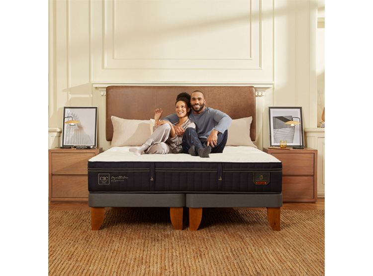 JUEGO DE DORMITORIO CIC CAMA EUROPEA SUPER PREMIUM KING + RESPALDO TORINO ALPINO - 9