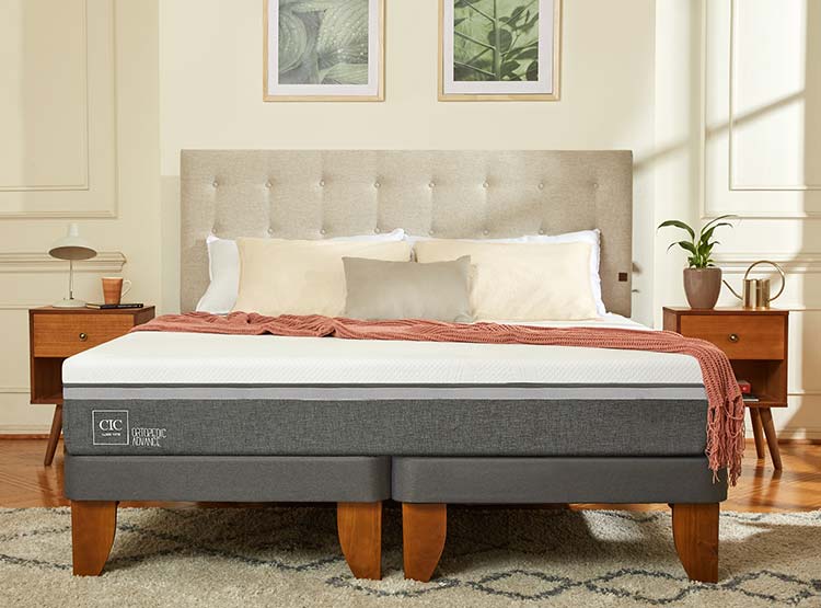 JUEGO DE DORMITORIO CIC CAMA EUROPEA ORTOPEDIC ADVANCE BD 2 PLAZAS + RESPALDO MILAN ALPINO - 9