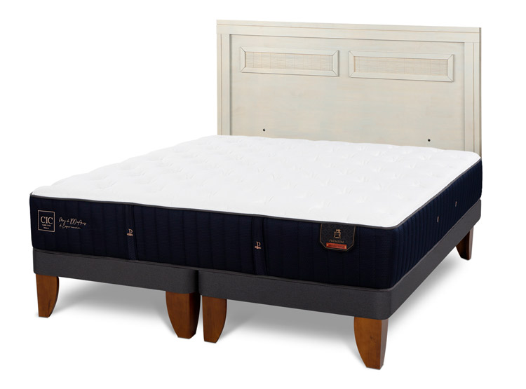JUEGO DE DORMITORIO CIC CAMA EUROPEA PREMIUM BD 2 PLAZAS + RESPALDO MILAN ALPINO - 2