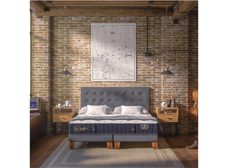 JUEGO DE DORMITORIO CIC CAMA EUROPEA PREMIUM BD 2 PLAZAS + RESPALDO MILAN ALPINO - 11