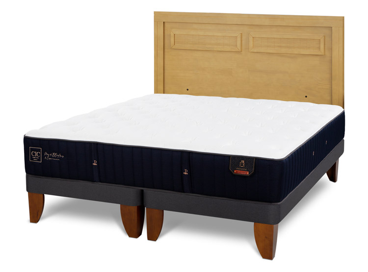 JUEGO DE DORMITORIO CIC CAMA EUROPEA PREMIUM BD 2 PLAZAS + RESPALDO MILAN MOSTAZA - 2
