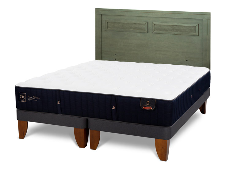 JUEGO DE DORMITORIO CIC CAMA EUROPEA PREMIUM BD 2 PLAZAS + RESPALDO MILAN OLIVO - 2