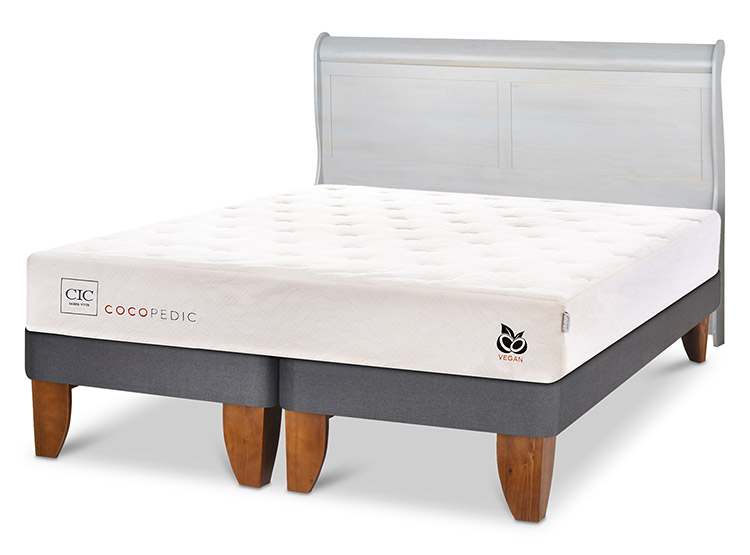JUEGO DE DORMITORIO CIC CAMA EUROPEA COCOPEDIC BD 2 PLAZAS + RESPALDO MIRO ALPINO - 2