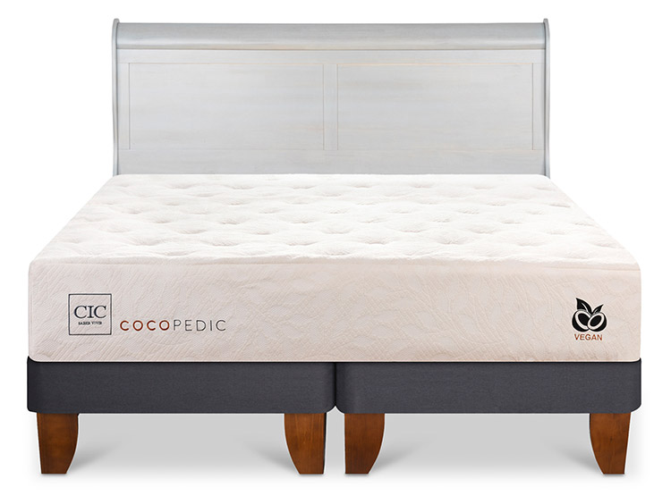 JUEGO DE DORMITORIO CIC CAMA EUROPEA COCOPEDIC BD 2 PLAZAS + RESPALDO MIRO ALPINO - 1
