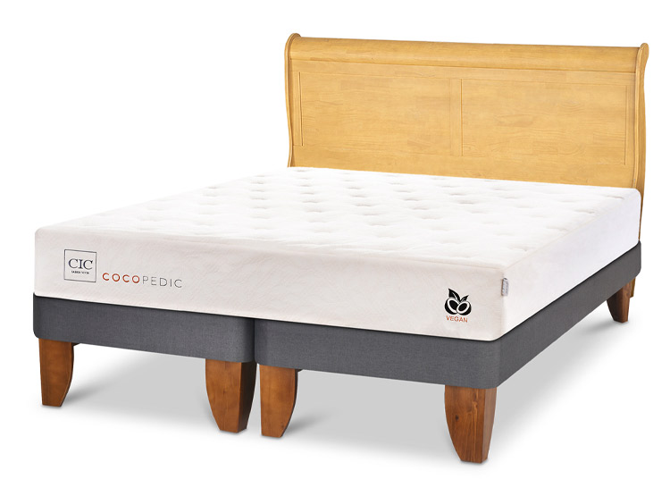 JUEGO DE DORMITORIO CIC CAMA EUROPEA COCOPEDIC BD 2 PLAZAS + RESPALDO MIRO MOSTAZA - 2