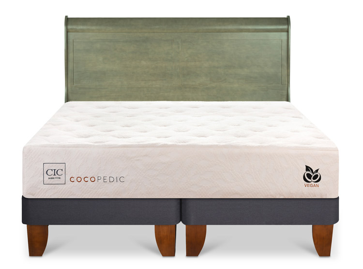 JUEGO DE DORMITORIO CIC CAMA EUROPEA COCOPEDIC BD 2 PLAZAS + RESPALDO MIRO OLIVO - 1