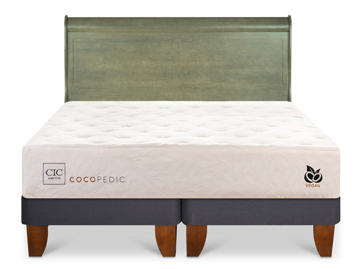JUEGO DE DORMITORIO CIC CAMA EUROPEA COCOPEDIC KING + RESPALDO MIRO OLIVO - 1