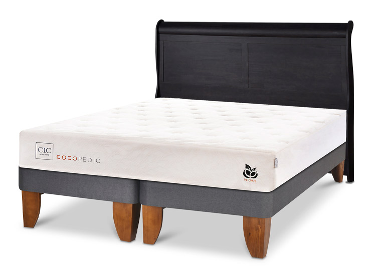 JUEGO DE DORMITORIO CIC CAMA EUROPEA COCOPEDIC C BD 2 PLAZAS + RESPALDO MIRO NEGRO - 2